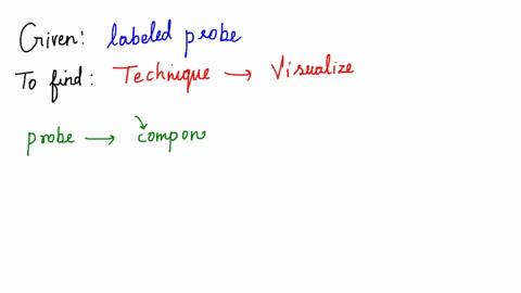 which-of-the-following-uses-labeled-probes-to-visualize-the-expression-of-genes-in-whole-tissues-and-organisms-select-one-a-fluorescent-in-situ-hybridization-fish-b-pcr-c-nucleic-acid-hybrid-83163