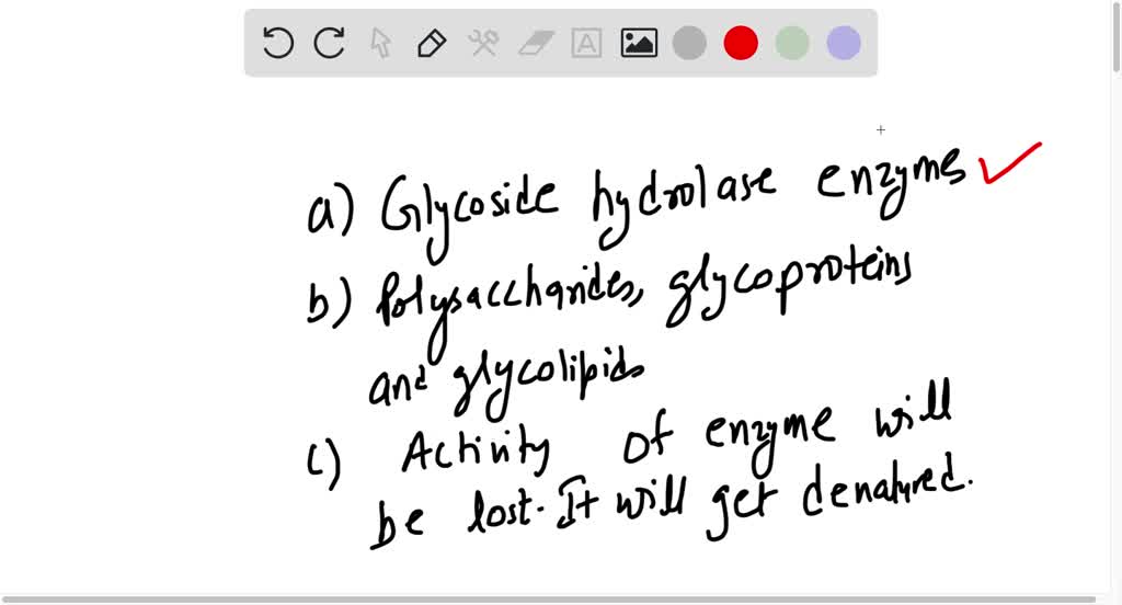 SOLVED Beano contains an enzyme that breaks down polysaccharides into smaller, more digestible