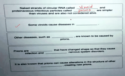 complete-the-following-paragraph-to-describe-the-structure-of-viroids-and-prions-gome-words-may-be-used-more-than-once-protoins-naked-strands-crcular-rna-callud-proleinaceous-infeclous-parti-00815