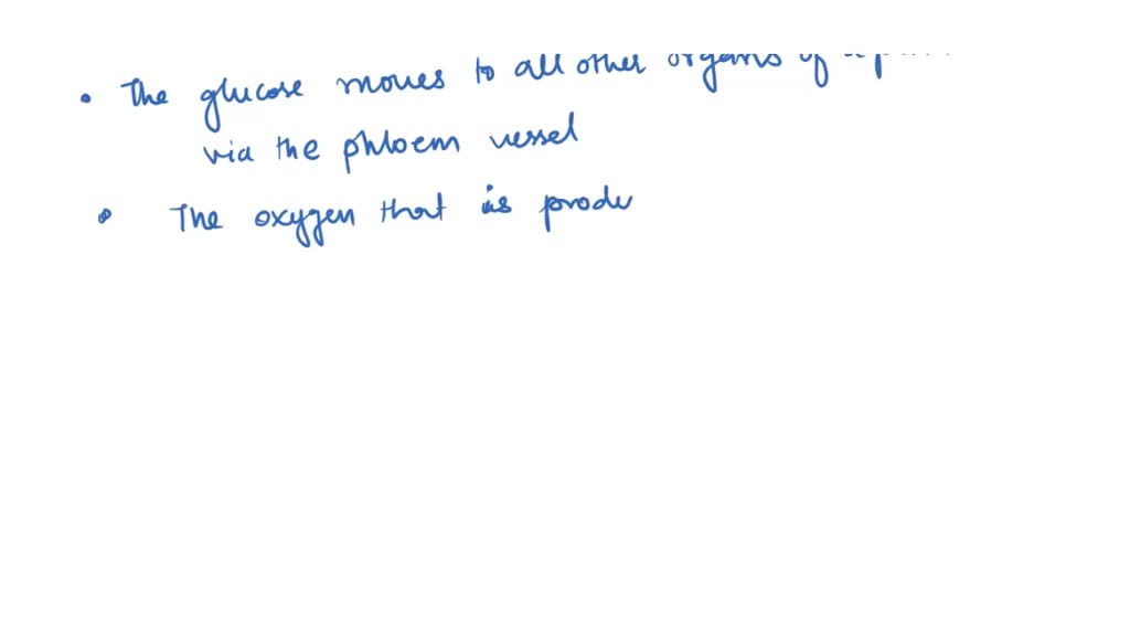 Correct the following sentences by highlighted words roots highlighted