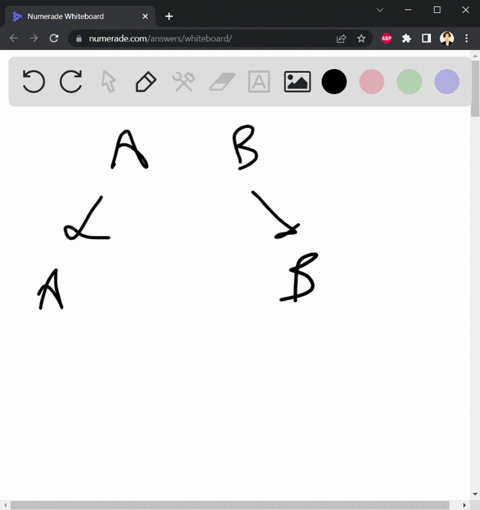 explain-mendels-laws-of-segregation-independent-assortment-in-terms-of-the-behavior-of-chromosomes-during-meiosis-26186