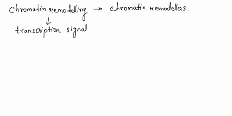 chromatin-remodeling-is-linked-to-epigenetics-explain-how-this-works-and-indicate-the-driving-factors-for-this-process-64356