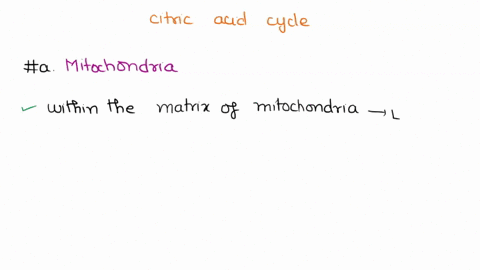 questions-below-is-diagram-of-the-citric-acid-cycle-acatyi-coa-had-oxaleacriana-melaia-alaft-igocitrate-citric-acid-cycle-fumengle-a-ketoglutarale-nad-succinale-nadh-ate-app-succlnyl-coa-whe-49515