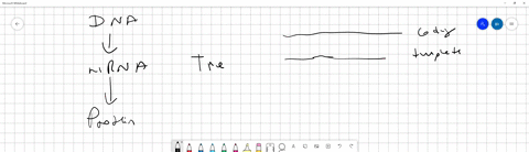 truefalse-as-mrna-is-synthesized-rna-nucleotides-are-added-by-base-pairing-with-the-complementary-dna-strand-the-sequence-matches-the-coding-top-or-5-strand-in-the-dna-double-helix-truefalse-95531