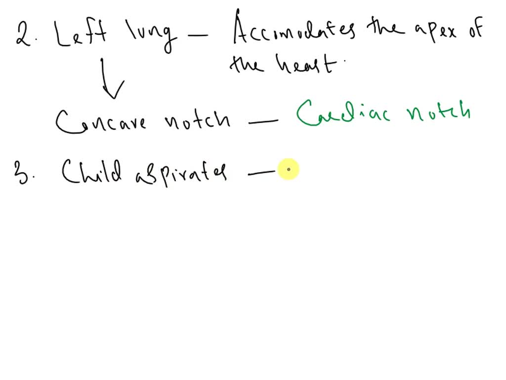 SOLVED: All of the following are differences between the left and right ...