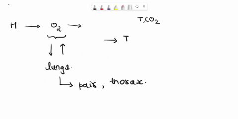 increasing-the-alveolar-ventilation-rate-will-group-of-answer-choices-increase-the-partial-pressure-of-oxygen-in-the-alveoli-decrease-the-rate-of-oxygen-diffusion-from-the-alveoli-to-the-blo-77024