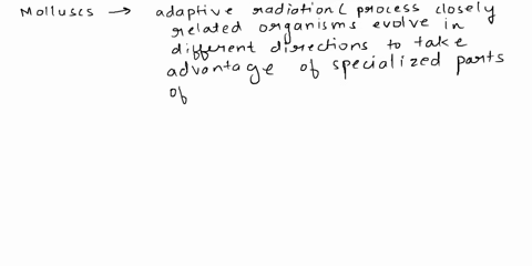 mollusks-provide-a-great-opportunity-to-examine-adaptive-radiation-which-of-the-following-is-the-best-example-of-adaptive-radiation-arong-mollusks-mollusks-are-primarily-found-in-the-ocean-b-56644