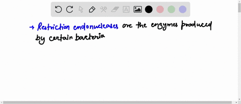 what-is-the-role-of-restriction-enzymes-why-is-it-essential-to-have-these-enzymes-to-perform-dna-analysis