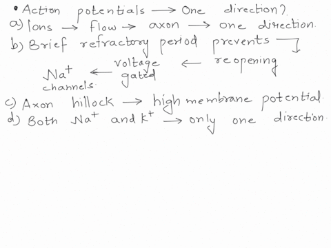 why-are-action-potentials-usually-conducted-in-one-direction-a-ions-can-flow-along-the-axon-in-onl-3-48535