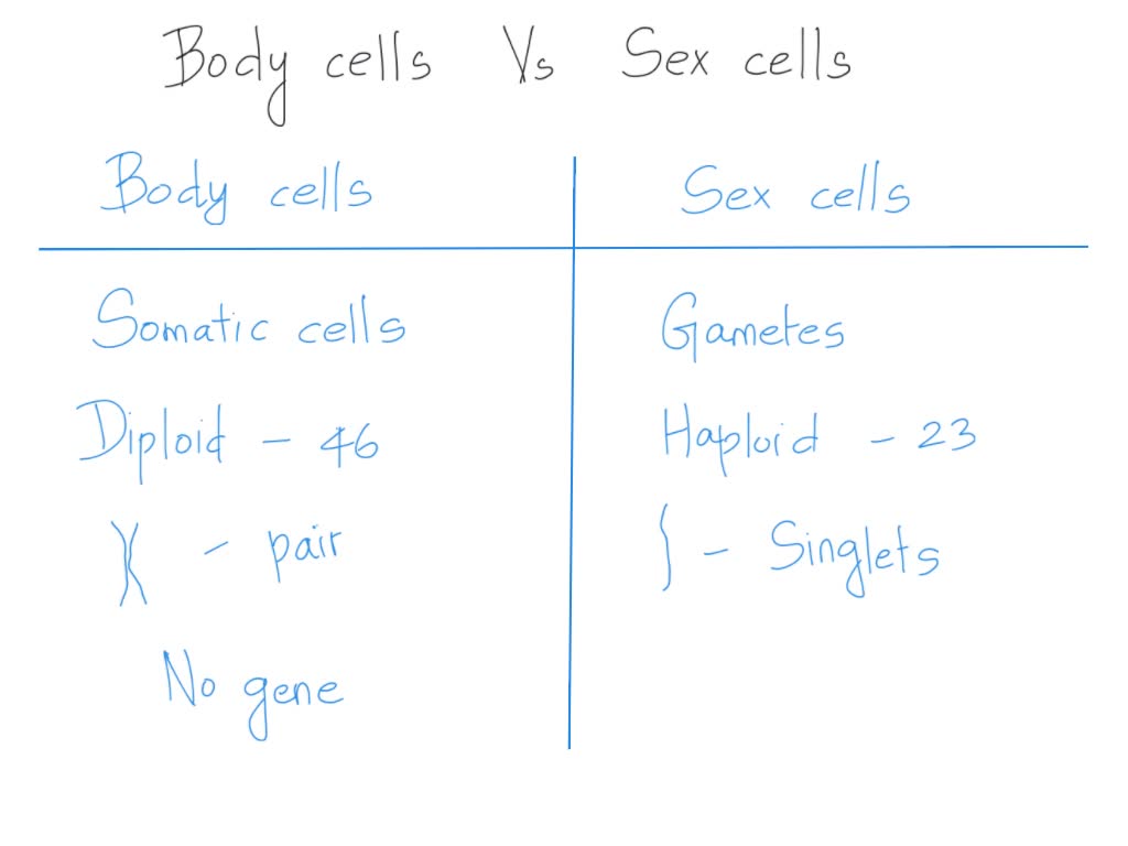 SOLVED: Please help!!!!!! BRAINLIST IF ANSWER I really need help with this!  Thank you :) Human body cells and human sex cells share some features but  also have distinct features. Move the