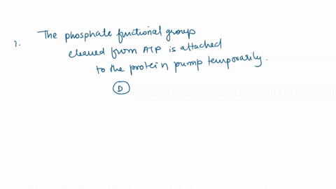 question-17-1-pts-in-active-transport-by-the-nat-kt-atp-pump-what-is-the-molecular-mechanism-by-which-the-protein-pump-can-change-shape-conformation-and-in-doing-move-sodium-or-potassium-ion-57164