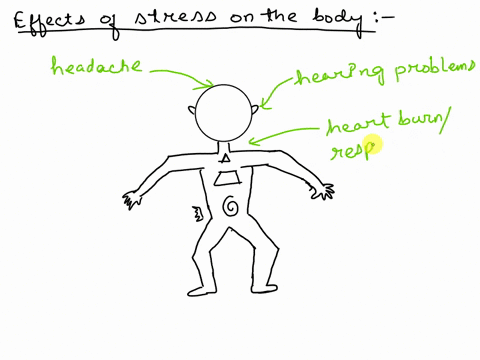 activity-1-label-mefrom-your-lesson-in-the-first-semester-label-the-drawing-below-to-show-the-differenteffects-of-stress-to-the-body-add-more-arrows-for-more-labels-e-test-tivity-1-label-me_-07069