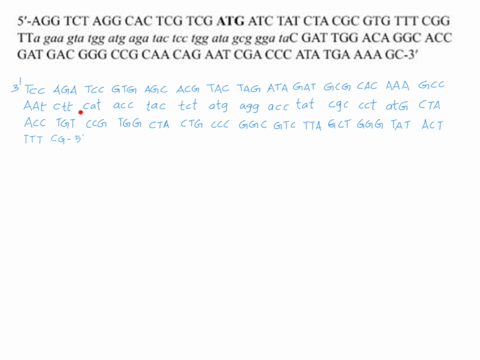 now-imagine-that-rna-polymerase-is-transcribing-the-following-sequence-of-dna-the-underlined-portions-represent-the-nucleic-acids-encoding-protein-domains-important-for-enzymatic-catalysis_-51692