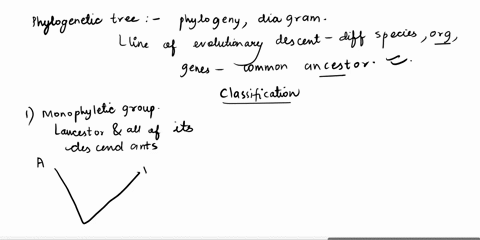 based-on-the-phylogeny-below-list-3-group-of-species-that-constitutes-a-a-monophyletic-group-b-a-paraphyletic-group-ca-polyphyletic-group-punfish-phylogeny-nexampio-cooll-ureamn-kundi-boldi-74944