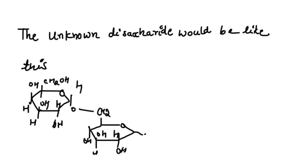 SOLVED Î²Galactosidase is an enzyme that hydrolyzes only Î²(1,4
