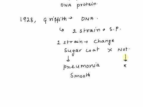 the-work-done-by-this-these-scientist-s-established-that-dna-must-be-the-genetic-material-hershey-and-chase-erwin-chargaff-frederick-griffith-avery-macleod-and-mccarty-watson-and-crick-frank-43742