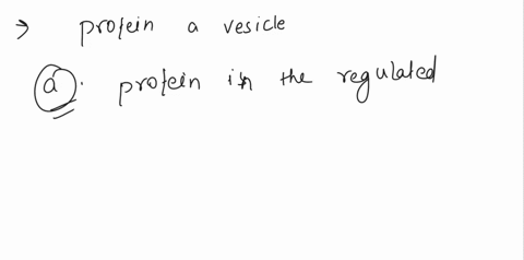 q017-what-one-af-the-main-dillerences-the-behaviar-0f-the-proteins-in-a-vesicle-destined-for-constitulive-secretion-and-tne-proteins-the-vesicle-destined-far-regulated-secretion-proteins-the-57703