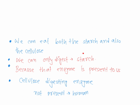 question-5-02pts-explain-why-starch-is-rich-in-calories-for-a-human-but-cellulose-is-not-human-enzymes-can-bind-to-and-breaka-1-4-bonds-but-not-p-1-4bonds-the-physics-of-breaking-1-4-bonds-i-21908