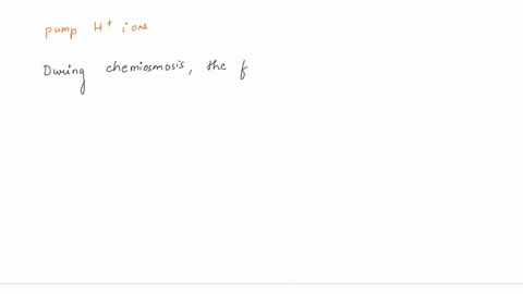 question-36-point-the-free-energy-from-the-series-of-redox-reactions-used-pump-hydrogen-ions-protons-across-the-membrane-from-the-mitochondrial-matrx-space-into-the-intermembrane-space-seler-64218
