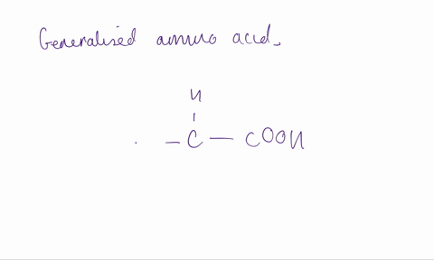 1-draw-by-hand-a-single-generalized-amino-acid-using-the-letter-r-to-denote-the-sidechain-r-group-draw-a-box-around-the-atoms-that-are-used-to-form-the-backbone-and-circle-the-variable-porti-22104