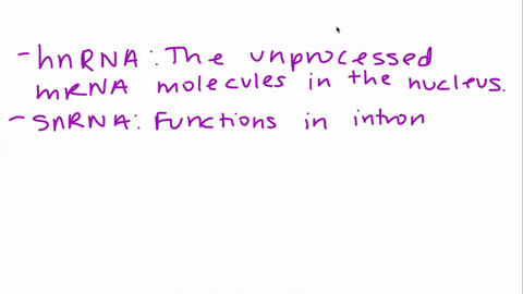 what-is-the-difference-between-hnrna-snrna-mirna-sirna-and-snorna