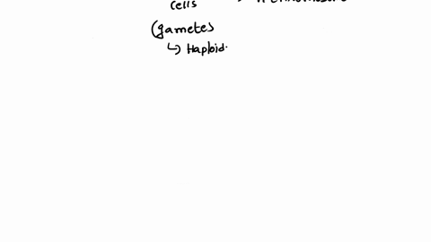 a-certain-type-of-diploid-organism-has-38-chromosomes-how-many-chromosomes-would-a-gamete-of-this-organism-have-39923