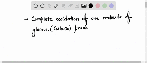 approximately-how-many-molecules-of-atp-are-produced-from-the-complete-oxidation-of-two-molecules-of-glucose-c6h12o-in-aerobic-cellular-respiration-select-one-0-a-2-0-b-15-c4-d30-32-e60-64-75014