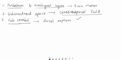 complete-the-following-statements-12thin-layer-of-gray-matter-on-surface-of-cerebrum-part-bassessments-complete-the-following-statements-and-the-together-compose-the-dura-mater-in-the-crania-91203
