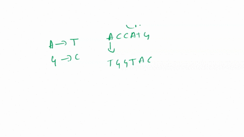 what-is-the-complementary-sequence-to-the-following-piece-of-dna-accatg-3-select-one-aaccatg-3-som-b-tggtac-3-c-tggtac-5-dcatggt-5-e-accatg-5-95248