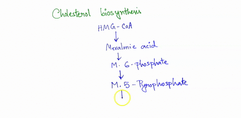 which-of-the-following-regarding-cholesterol-biosynthesis-is-false-the-condensation-of-isoprene-is-driven-by-hydrolysis-of-pyrophosphate-mechanism-of-cholesterol-biosynthesis-is-in-this-orde-36968