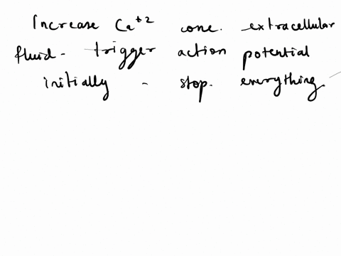 5-significantly-increasing-the-concentration-in-the-extracellular-fluid-surrounding-a-neuron-would-cause-the-membrane-to-depolarize-this-would-initially-trigger-some-action-potential-as-the-28043