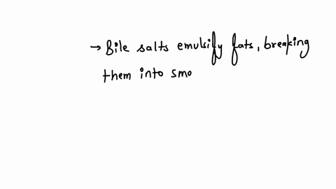 indicate-the-answer-choice-that-best-completes-the-statement-or-answers-the-question-2-during-the-digestion-of-triglycerides-a-lipases-break-up-molecular-clusters-of-fats-and-then-the-bile-salts-hydro