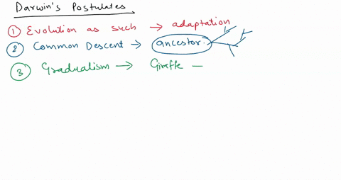 which-is-the-postulate-of-darwinian-evolution-species-characteristics-are-infixed-and-mutable-all-life-is-related-by-common-ancestry-natural-selection-drives-evolution-all-are-postulates-of-60383