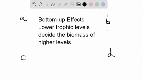 bottom-up-effects-on-trophic-structure-result-from-a-a-limitation-of-energy-flowing-to-the-next-high-99143