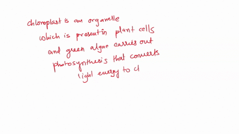 which-of-the-following-is-not-common-to-the-chloroplast-and-mitochondria-a-both-use-membranes-to-e-2-93395
