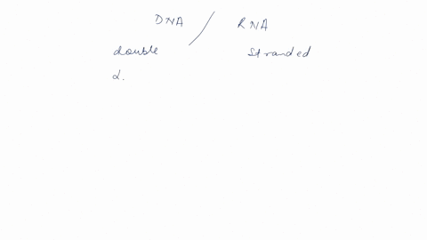 which-one-of-the-following-statements-about-nucleic-acids-is-true-both-dna-and-rna-have-the-same-sugar-ribose-as-part-of-their-nucleotide-unit-dna-contains-a-t-base-pairs-but-rna-contains-u-54722