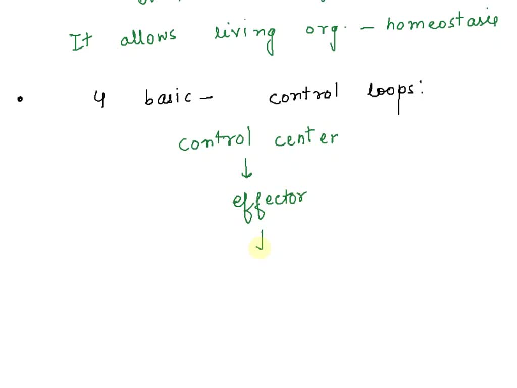 solved-contrast-homeostatic-control-mechanisms-and-feedback-control