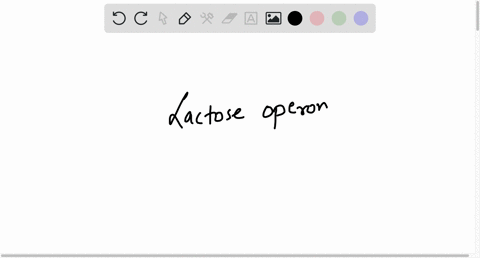 which-of-the-following-statements-about-the-lactose-operon-in-e-coli-is-true-group-of-answer-choices-it-contains-the-genes-that-encode-the-proteins-for-lactose-metabolism-its-transcription-i-76703