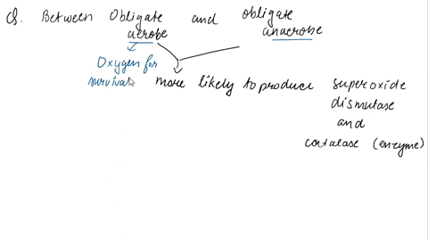 would-an-obligate-aerobe-or-obligate-anaerobe-be-more-likely-to-produce-the-the-enzymes-superoxide-dismutase-and-catalase-why-75577