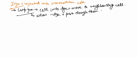 cuix-application-let-say-you-injected-dye-into-cell-describe-what-would-happen-t0-the-dye-if-the-cells-in-animal-tissue-were-connected-by-cach-of-thc-following-tight-junctions-desmosomes-and-34902