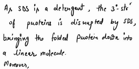 proteins-can-be-readily-denatured-by-the-addition-of-detergents-such-as-sodium-dodecyl-sulfate-sds-whose-structure-is-shown-below-how-do-detergents-like-sds-disrupt-protein-tertiary-structur-81687