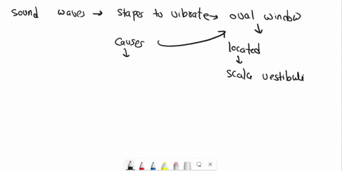 trace-the-pathway-of-sound-between-the-stapes-and-the-cochlearnerve-a-oval-window-scala-vestibuli-cochlear-duct-scala-mediabasilar-membrane-hair-cell-b-round-window-scala-tympani-cochlear-du-16926