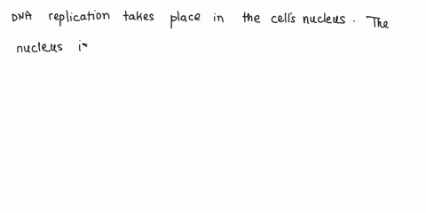 write-the-coding-strand-of-dna-below-in-row-1-of-the-table-1-below-recall-that-the-complementary-base-pairing-rules-for-dna-when-it-replicates-its-strand-to-make-more-dnain-the-nucleus-is-ad-74978