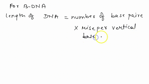 what-is-the-approximate-length-of-a-dna-molecule-in-the-b-form-containing-10000-base-pairs-70994
