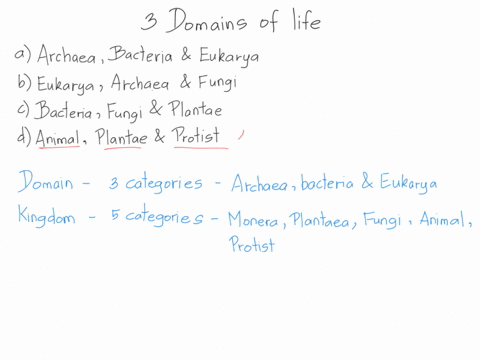what-are-the-3-domains-of-life-archaea-bacteria-eukarya-eukarya-archaea-fungi-0-bacteria-fungi-plantae-d-animal-plantac-protist-0-archaca-bacteria-protist-94017