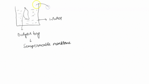 in-an-experimental-set-up-starch-is-placed-in-dialysis-tubing-and-suspended-in-water-when-lodine-is-added-to-the-water-over-time-the-starch-solution-in-the-bag-turns-black-while-the-color-of-59148