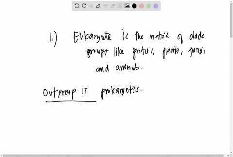 cladogram-prokaryotes-eukaryotes-bacteria-archaca-protists-plants-fungi-animals-which-of-the-following-is-most-closely-related-to-a-mushroom-fungus-why-recent-dna-based-studies-show-that-fun-18653