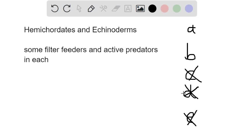 SOLVED How do hemichordates and echinoderms differ in the way they