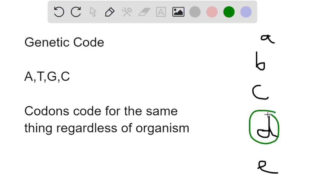 SOLVED Juestion 21 Which statement about the code iS true? The