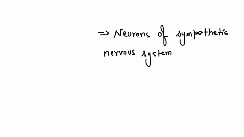 which-of-the-following-is-true-regarding-the-human-sympathetic-nervous-system-maintained-by-sacral-nerves-2-54-all-of-these-are-true-arise-from-spinal-cord-levels-t1-l2-connects-to-mathrmcn-mathrmx